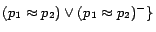 $(p_1\approx p_2)\vee(p_1\approx p_2)^-\}$