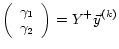 $\displaystyle \left( \begin{array}{c} \gamma_1 \\ \gamma_2 \\ \end{array} \right) = Y^+\vec{y}^{(k)}$