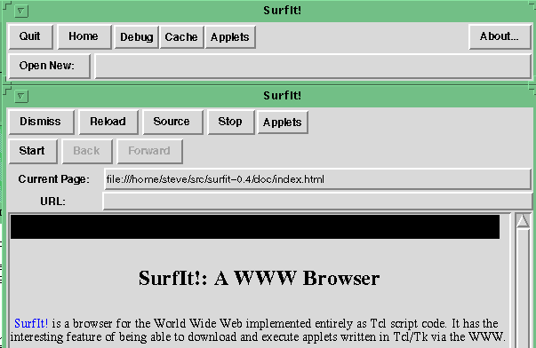 Figure 1: The SurfIt! Web Browser