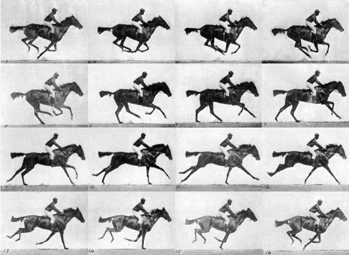 Muybridge gallop